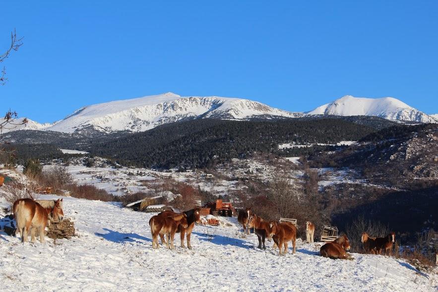 Lles De Cerdanya Refugi Cap Del Recホステル エクステリア 写真